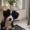 Kleine Kati sucht Körbchen ❤🐾