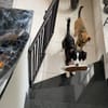 Kleine Kati sucht Körbchen ❤🐾