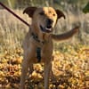 Boomer - aktiver Herzensbrecher