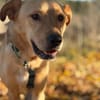 Boomer - aktiver Herzensbrecher
