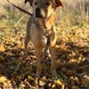 Boomer - aktiver Herzensbrecher