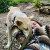 🆘 HERMES verliert sein Zuhause 🆘🆘🆘