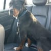 Tobi, der kinderliebe feine Kerl