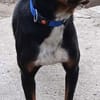 Tobi, der kinderliebe feine Kerl