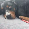 Tobi, der kinderliebe feine Kerl