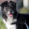 AMY - super fitte & brave Seniorin 💖