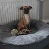 Darf ich vorstellen Prinzessin Sanda
