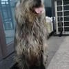 Tammy sucht ein ruhiges Zuhause