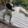 Superliebe Raia sucht ihre Familie