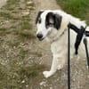 Wunderbare Shine sucht ihre Familie
