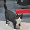 Minnie Sonnenscheinchen sucht Familie