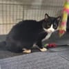 Minnie Sonnenscheinchen sucht Familie