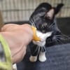 Minnie Sonnenscheinchen sucht Familie