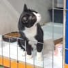 Minnie Sonnenscheinchen sucht Familie