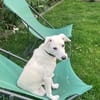Yang sucht aktive Menschen