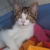 Izzy u. Ivo suchen ein liebevolles Heim