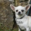 MINIE