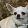 MINIE