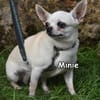MINIE