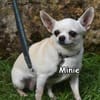 MINIE