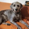 Aria wartet auf ihre Familie