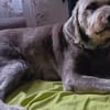 Aria wartet auf ihre Familie