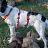 Lea sucht ihre Familie