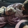 Oscar 1-jähriger Mischling sucht