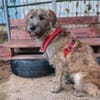 Margrit sucht ein ruhiges Plätzchen