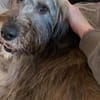 Margrit sucht ein ruhiges Plätzchen