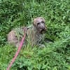 Margrit sucht ein ruhiges Plätzchen