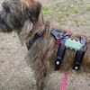 Margrit sucht ein ruhiges Plätzchen