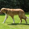 Nina - hübsche Griechin auf der Suche