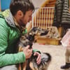 Zuhause gesucht für Fee