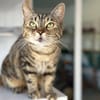 NALA (réservée)