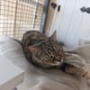 NALA (réservée)
