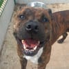 TAYSON QCN