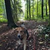 Entdeckerin Danesa sucht ihr Zuhause