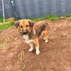 Kuschelmaus Sheilah sucht ihr Familie 🥰