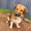 Kuschelmaus Sheilah sucht ihr Familie 🥰
