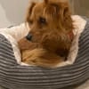 Tilo💙 kleiner Kämpfer sucht großes Herz