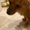 Tilo💙 kleiner Kämpfer sucht großes Herz