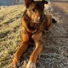 HSH-Mix ❤ Nelli ❤ in 25474 Bönningstedt