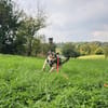 Bobo aus 51515 Kürten