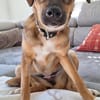 Uschi sucht ihre Herzenmenschen
