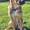 Uschi sucht ihre Herzenmenschen