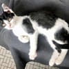 Kian & Domino - zwei Freunde suchen DICH