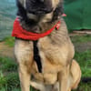 THALIA, freundlich, lieb, ruhig