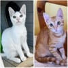 Willow & Jara suchen DICH!