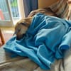 Keka, fröhliche Familienhündin sucht